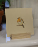 Original mini colour pencil drawing - Robin