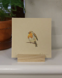 Original mini colour pencil drawing - Robin